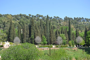 La Alhambra, Granada - 169453613