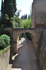 La Alhambra, Granada - 169453681