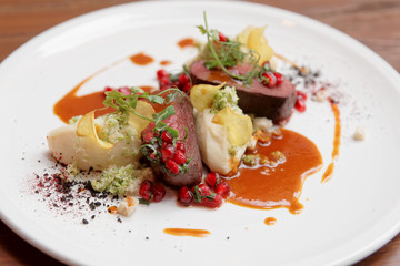 Venison fillet and potato puree, toned