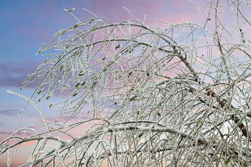 Climate Change - Ice Storm 