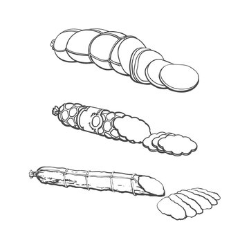 vector sketch chorizo sausage with slices, boiled sausage and salami set. Cartoon isolated illustration on a white background. Sausage and meat types concept