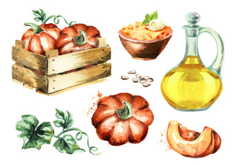 Pumpkin products. Watercolor hand-drawn set