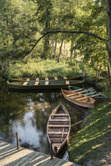 Punt boats resting on the shore of the Krutynia river in Masuria, Poland