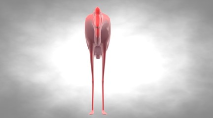 3d rendering of a reflective bird with long legs