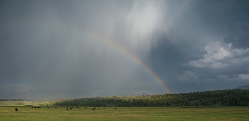 Grand Teton National Park