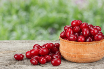 dogwood berries in wooden bowl on old wooden table with green garden background