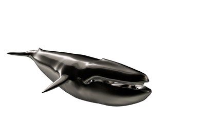 3d rendering of a reflective big Wahle on a background