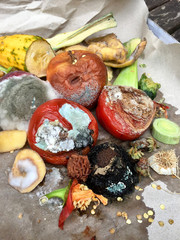 Verschimmeltes Obst und Gemüse auf grauem Papier