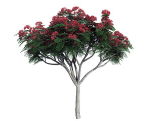 3d rendering of a realistic flower bush isolated on white