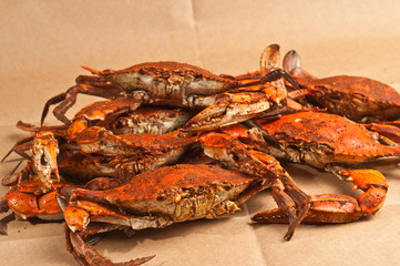  Pile of steamed and seasoned Chesapeake Bay blue claw crabs / on brown paper table cover