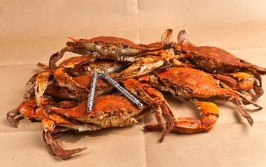 Foto auf Leinwand Pile of steamed and seasoned Chesapeake Bay blue claw crabs / on a wood cutting board with a steel cracker and a wood bowl of spicy,seasoning on brown paper table covering © reve15