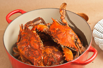 Steamed and seasoned Chesapeake Bay blue claw crabs / in a red cast iron pot with a steel steaming basket on side on brown, paper table covering