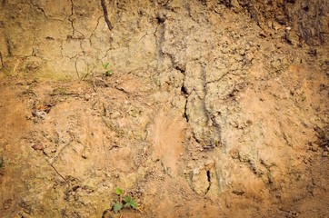 Background of the sand. Texture of cracked sand and earth.