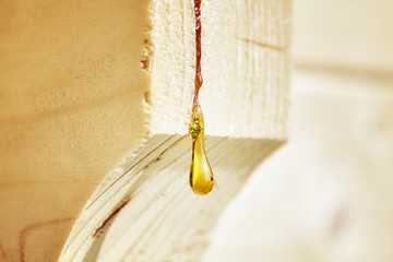 Close up picture of a resin drop on a wood construction, shallow depth of field.