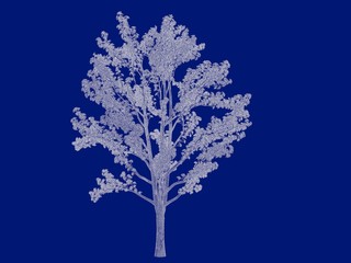 3d rendering of an outlined tree blueprint isolated on blue background