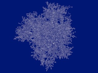 Fototapeta premium 3d rendering of an outlined tree blueprint isolated on blue background
