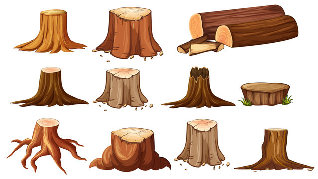 Different shapes of stump trees