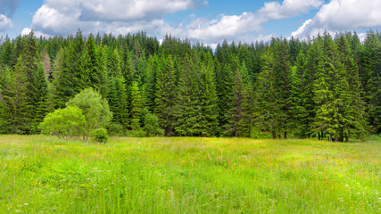 Elatia wood - Karantere - Drama