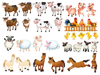 Many kinds of farm animals