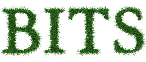 Bits - 3D rendering fresh Grass letters isolated on whhite background.