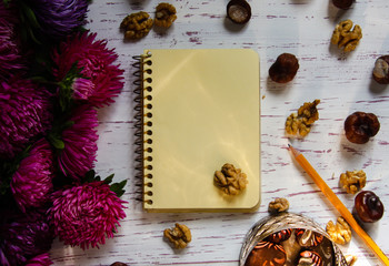 White wooden background with asters and notebook back to school