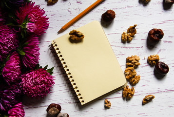 White wooden background with asters and notebook back to school