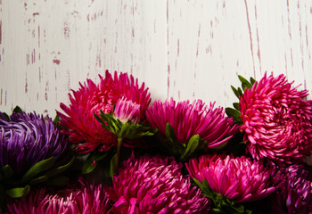 White wooden background with asters in autumn