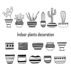 Set of cacti . Vector line art illustration .