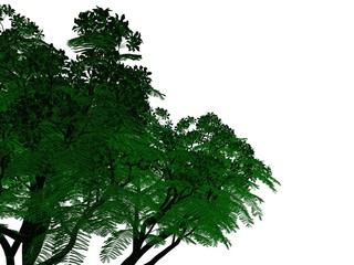 3d rendering of an outlined black tree with green edges isolated on white background
