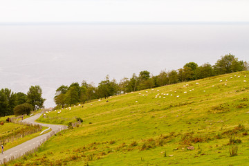 Coast view in the Basque country