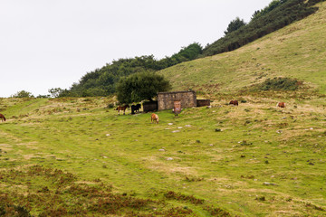 Coast view in the Basque country