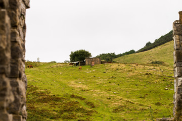 Coast view in the Basque country