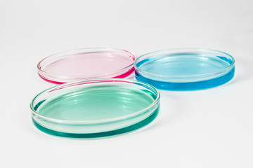 color liquid in petri dishes. laboratory, science and clinic background
