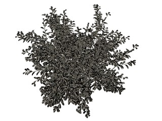 3d rendering of a silver tree isolated on a white background