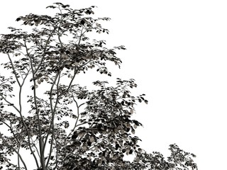3d rendering of a silver tree isolated on a white background