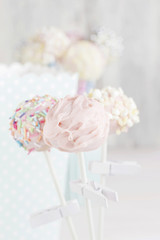 Cake pops in pastel colors