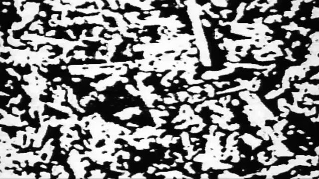 Cycling Graphic Text Texture