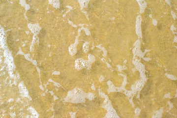 sandy beach. Background