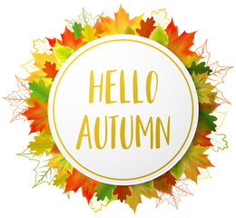 Autumn fall maple leaves vector decoration background isolated