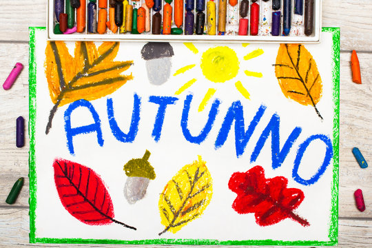 Photo of colorful drawing:  Italian word Autumn, orange leaves and acorn