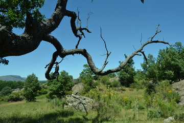 Mount Valonsadero, Soria