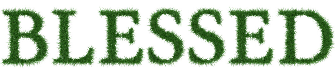 Blessed - 3D rendering fresh Grass letters isolated on whhite background.