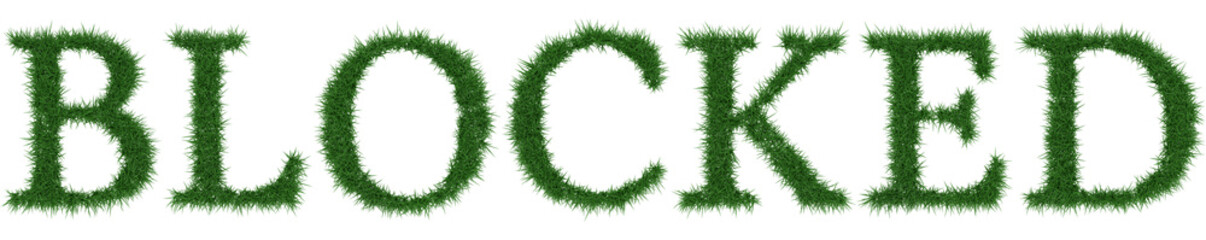 Blocked - 3D rendering fresh Grass letters isolated on whhite background.