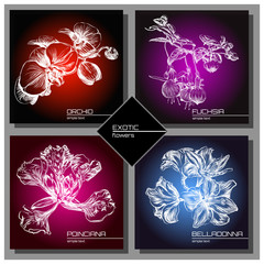 Exotic Flowers Collection: Poinciana, belladonna, fuchsia and orchid Cards Set