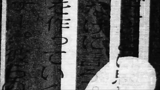 Cycling Graphic Text Texture Chinese