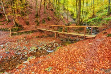 Autumn landscape - wooden bridge in the autumn park