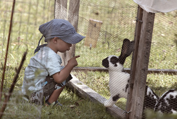 Junge spielt mit süssem Hase