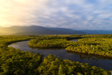Amazonas-Regenwald in Brasilien