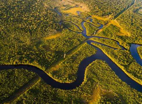 Amazon Rainforest in Brazil