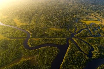 Foto op Canvas Amazone-regenwoud in Brazilië © gustavofrazao